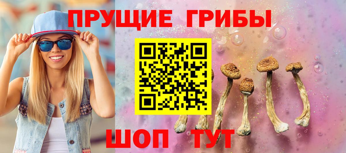 Галлюциногенные грибы мицелий  Галлюциногенные грибы Psilocybe  Вход с VPN  Комсомольск-на-Амуре 
